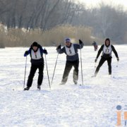 Соревнования по лыжным гонкам 7 февраля 2015 года