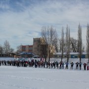 Соревнования по лыжным гонкам 7 февраля 2015 года