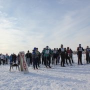 Соревнования по лыжным гонкам 7 февраля 2015 года