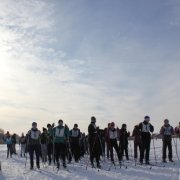 Соревнования по лыжным гонкам 7 февраля 2015 года